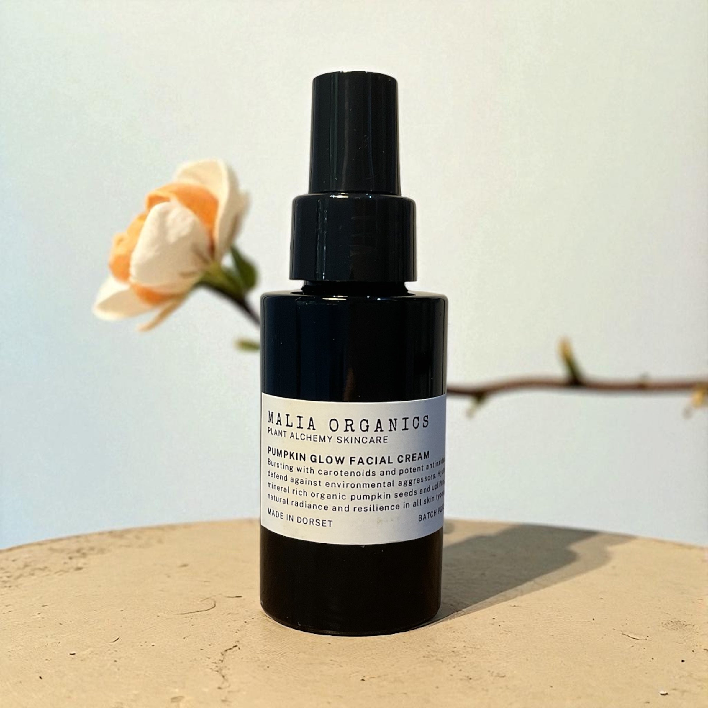 Pumpkin Glow Antioxidant Face Cream